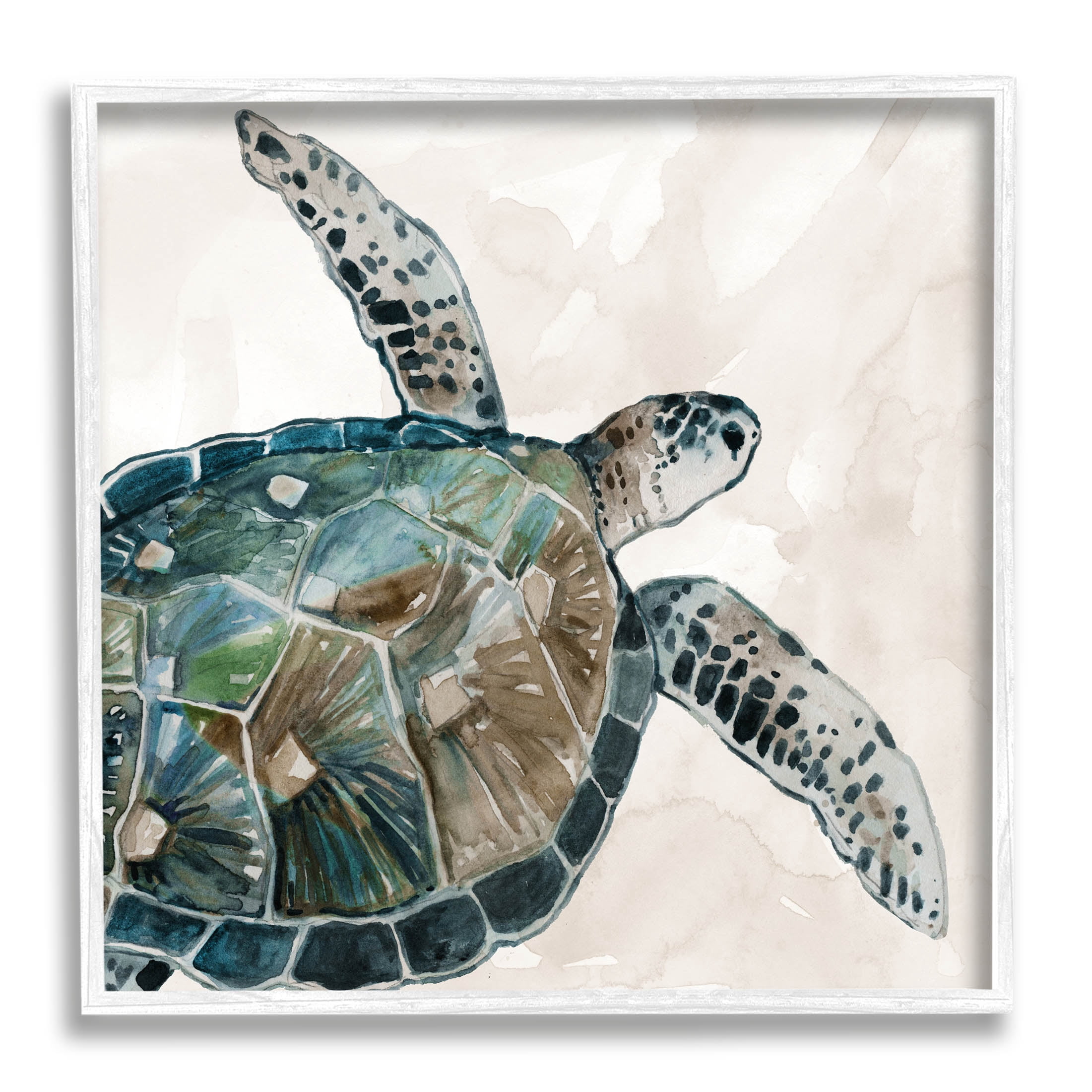 Stupell Industries Brown Tortoise Sea Life Graphic Art White Framed Art Print Wall Art, Design by Carol Robinson