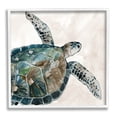 thumbnail image 1 of Stupell Industries Brown Tortoise Sea Life Graphic Art White Framed Art Print Wall Art, Design by Carol Robinson, 1 of 7