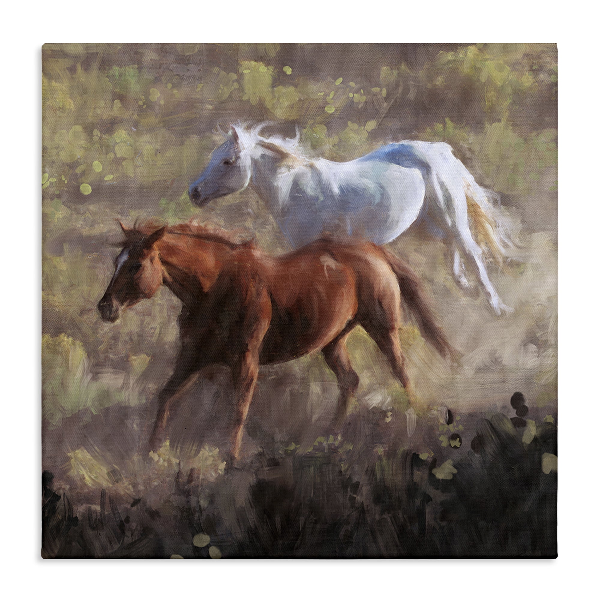 Stupell Industries Brown & White Wild Horses Animals & Insects Painting Gallery Wrapped Canvas Art Print Wall Art, 24 x 24