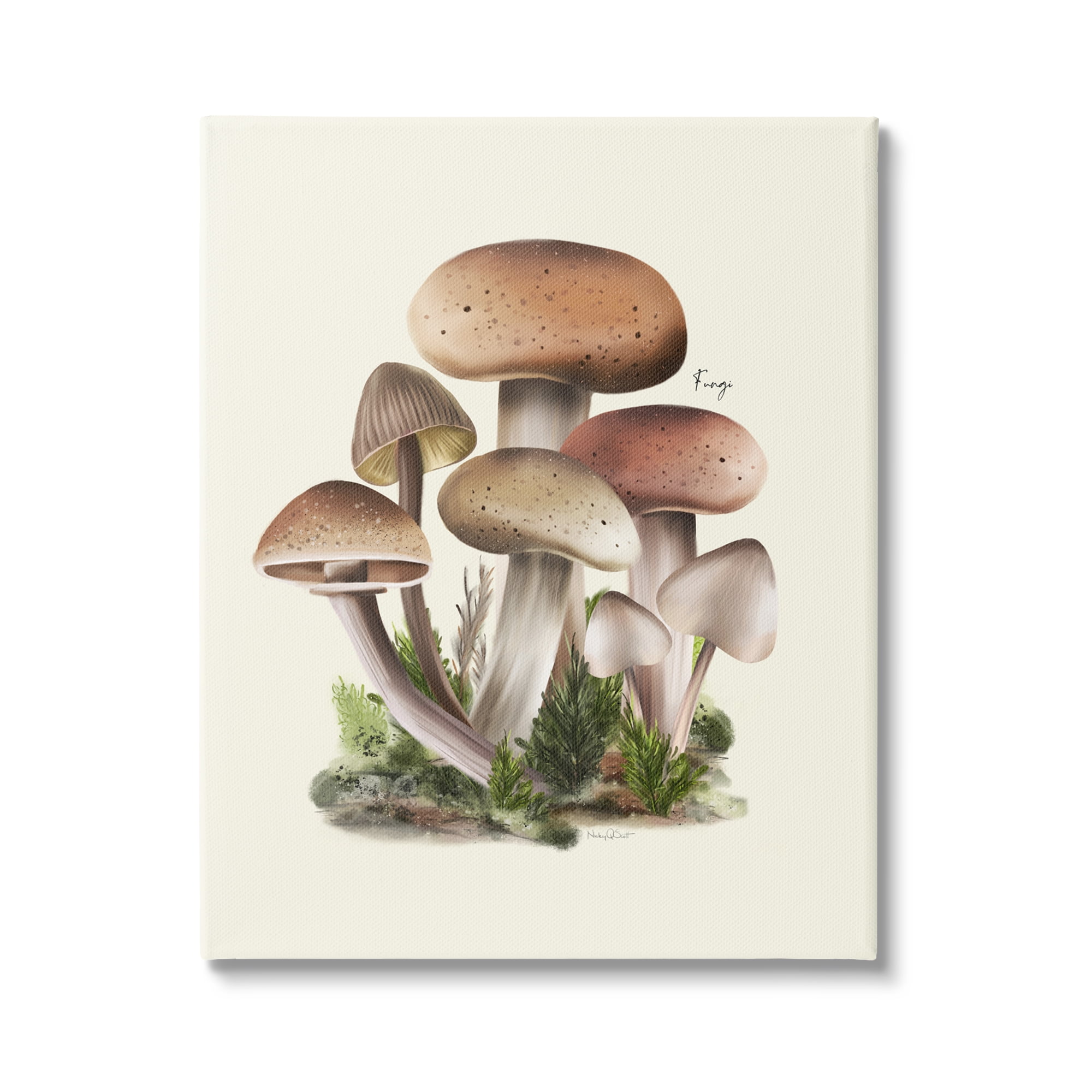 Stupell Industries Brown Woodland Mushrooms Botanical & Floral Painting Gallery Wrapped Canvas Art Print Wall Art, 30 x 40