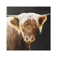 thumbnail image 1 of Stupell Industries Brown Wooly Cattle Animals & Insects Photography Gallery Wrapped Canvas Art Print Wall Art, 30 x 30, 1 of 8