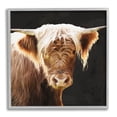 thumbnail image 1 of Stupell Industries Brown Wooly Cattle Animals & Insects Photography Gray Framed Art Print Wall Art, 12 x 12, 1 of 9