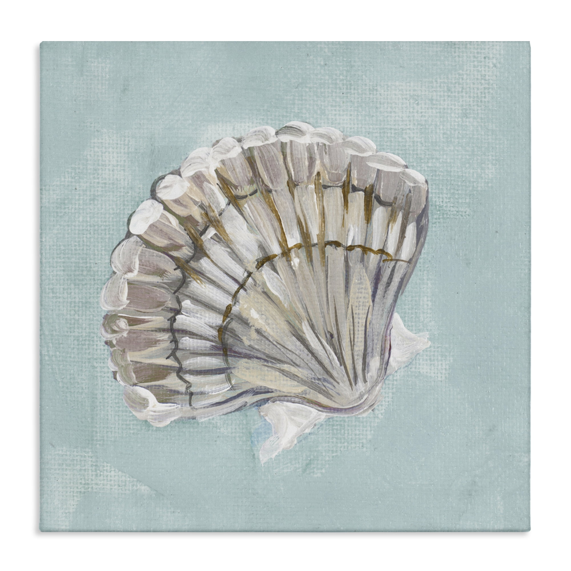 Stupell Industries Brushed Clam Shell Coastal Painting Gallery Wrapped Canvas Art Print Wall Art, 36 x 36