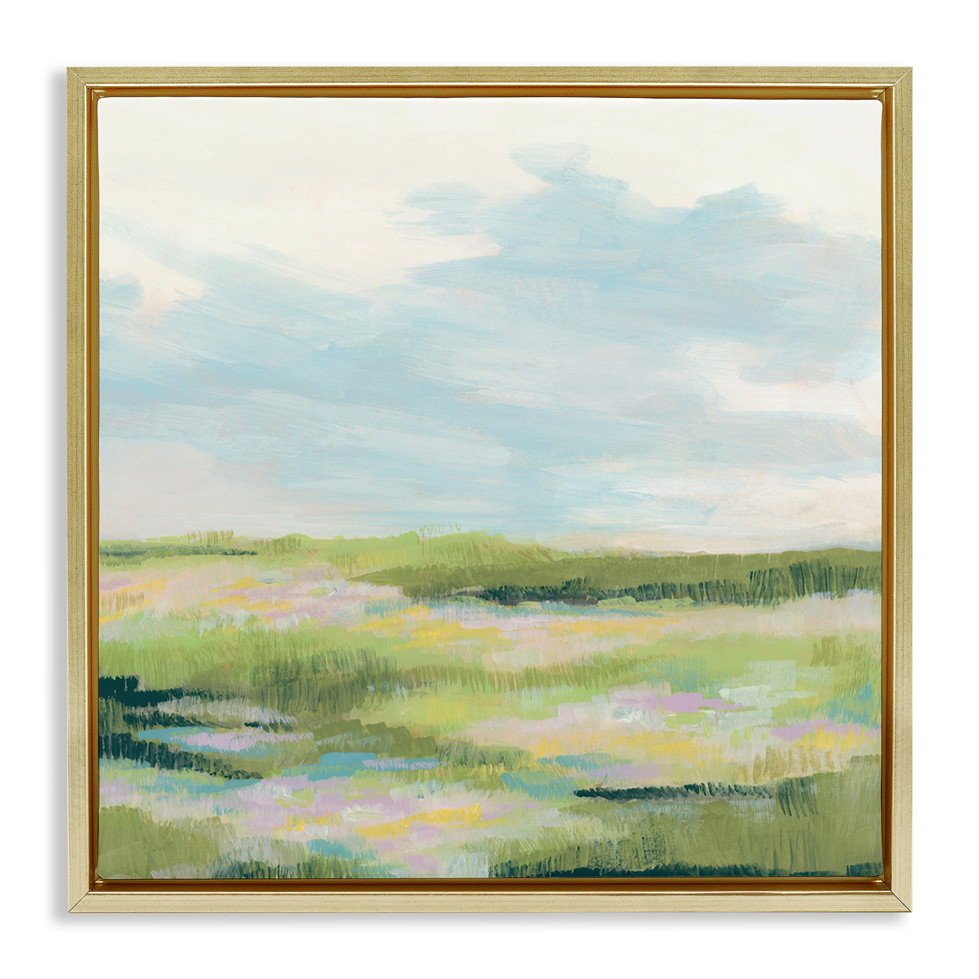 Stupell Industries Brushed Meadow & Sky Landscape & Nature Painting Gold Floater Framed Canvas Art Print Wall Art, 25 x 25