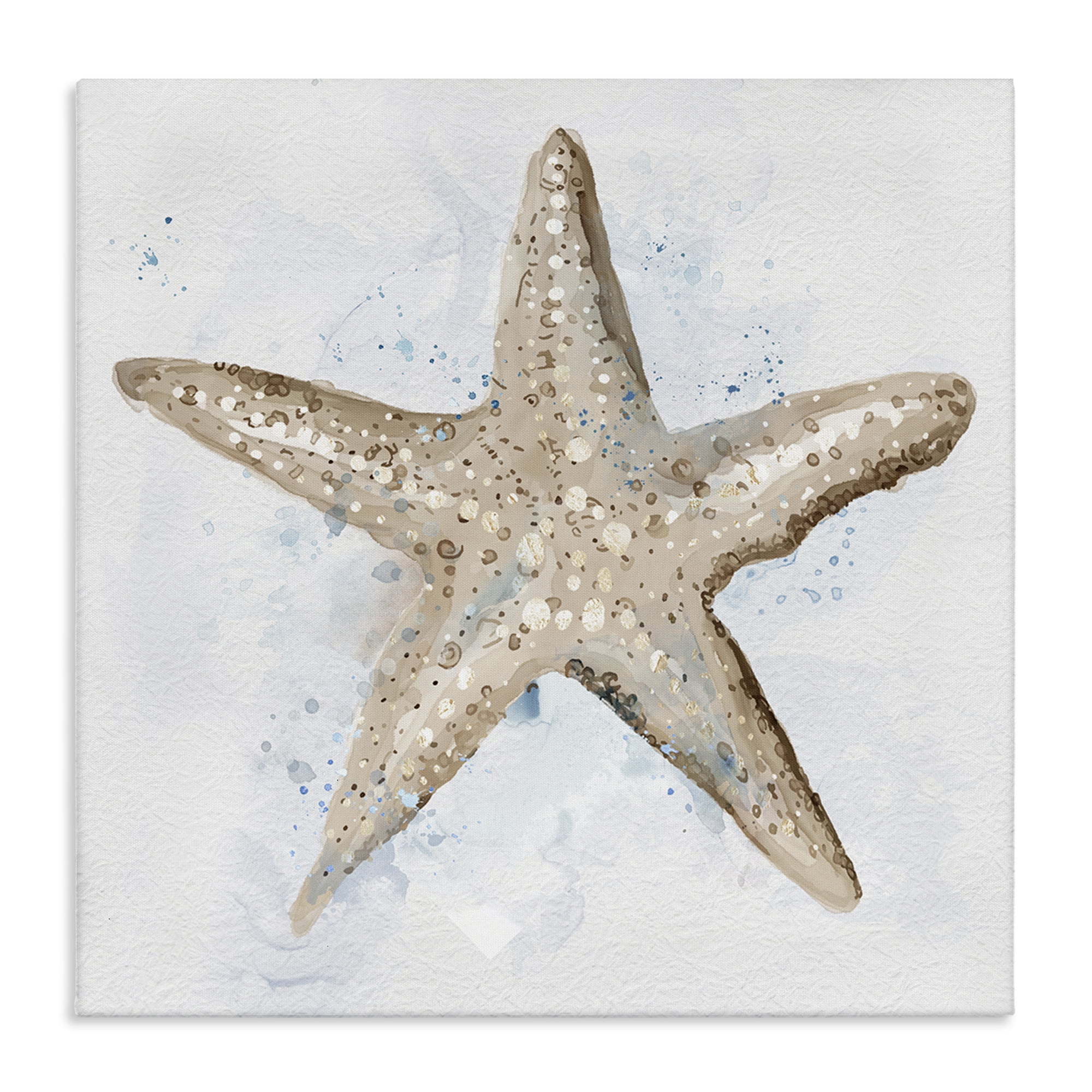 Stupell Industries Bubbly Beige Starfish Animals & Insects Painting Gallery Wrapped Canvas Art Print Wall Art, 17 x 17