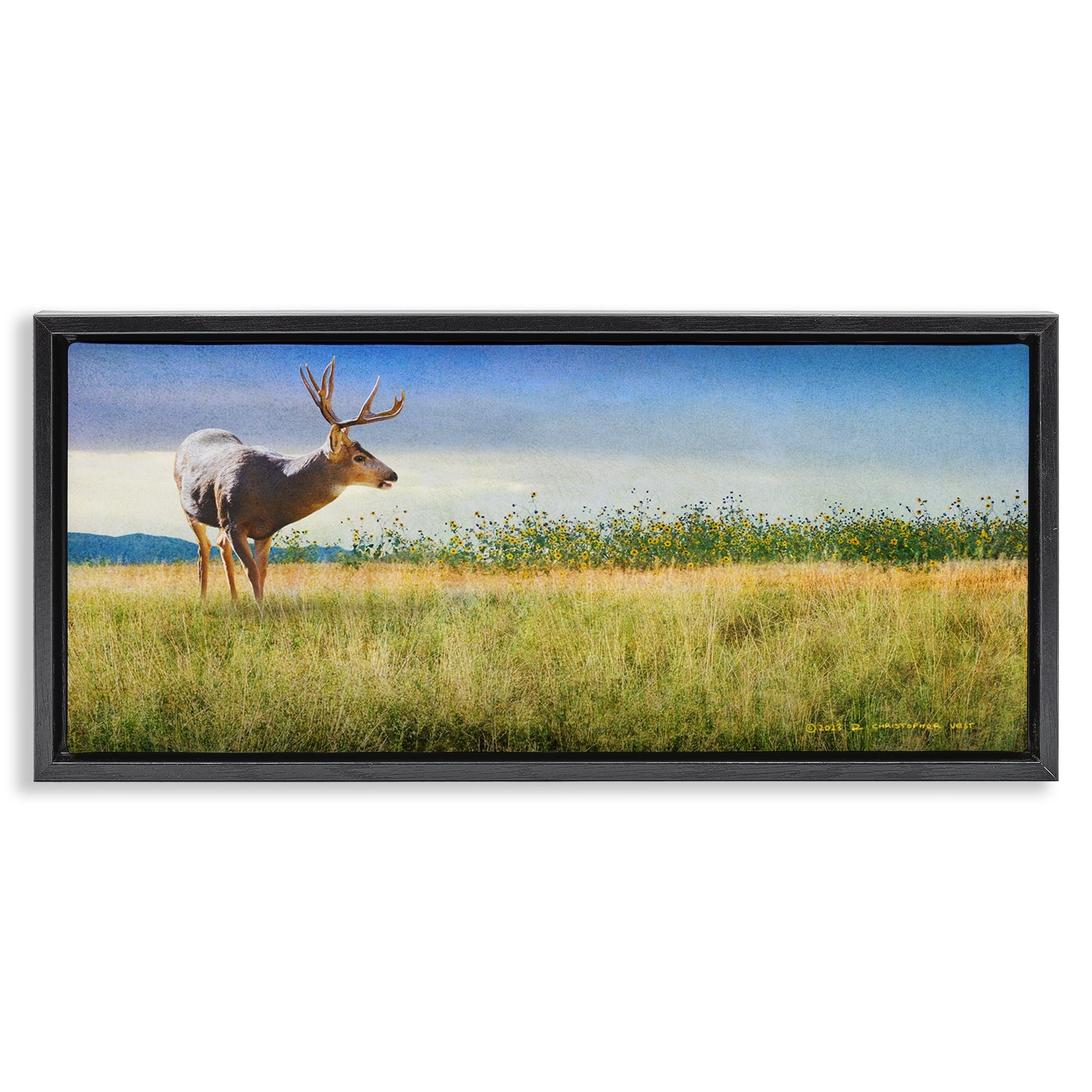 Stupell Industries Buck Deer in Field Landscape & Nature Photography Black Floater Framed Canvas Art Print Wall Art, 25 x 11
