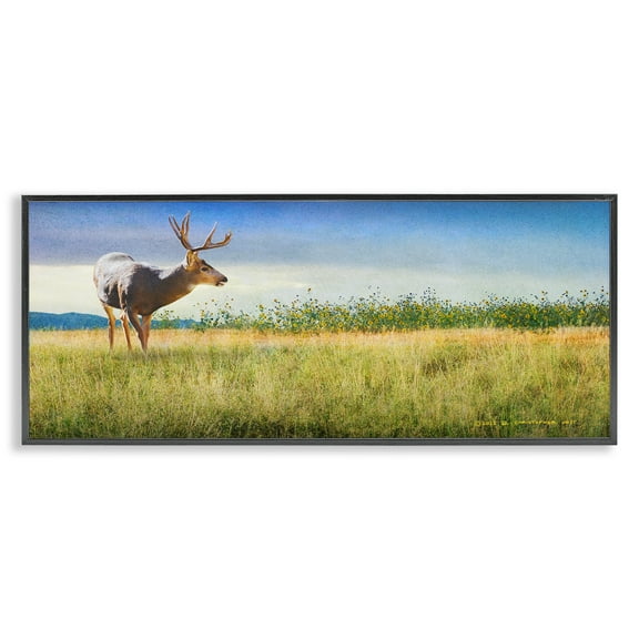 Stupell Industries Buck Deer in Field Landscape & Nature Photography Black Framed Art Print Wall Art, 24 x 10