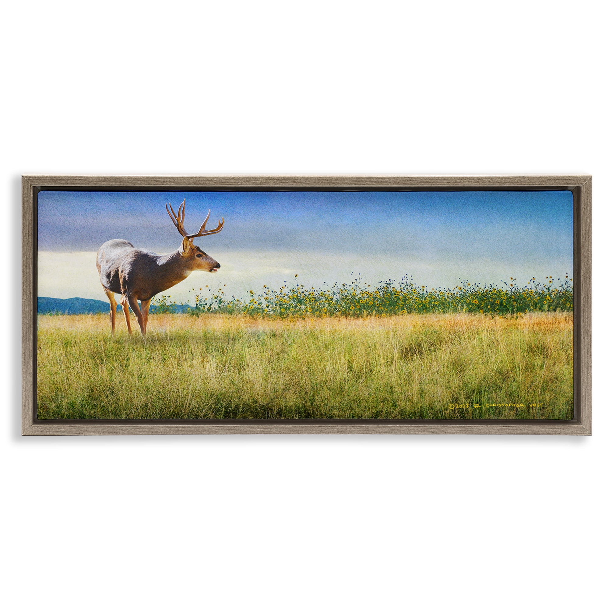 Stupell Industries Buck Deer in Field Landscape & Nature Photography Brown Floater Framed Canvas Art Print Wall Art, 25 x 11