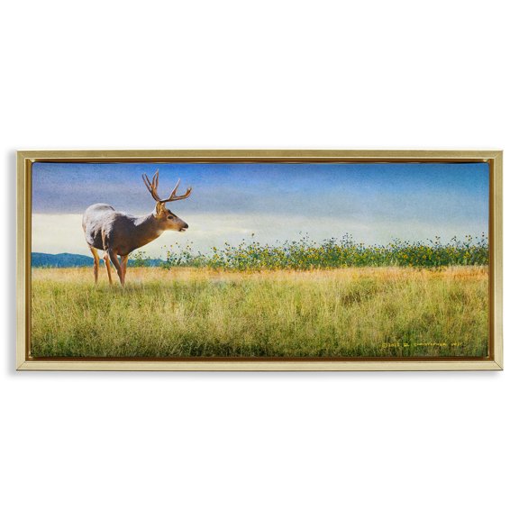 Stupell Industries Buck Deer in Field Landscape & Nature Photography Gold Floater Framed Canvas Art Print Wall Art, 31 x 14