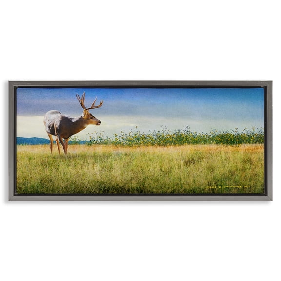 Stupell Industries Buck Deer in Field Landscape & Nature Photography Gray Floater Framed Canvas Art Print Wall Art, 25 x 11
