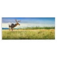 thumbnail image 1 of Stupell Industries Buck Deer in Field Landscape & Nature Photography Unframed Art Print Wall Art, 17 x 7, 1 of 8