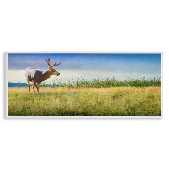 Stupell Industries Buck Deer in Field Landscape & Nature Photography White Framed Art Print Wall Art, 24 x 10