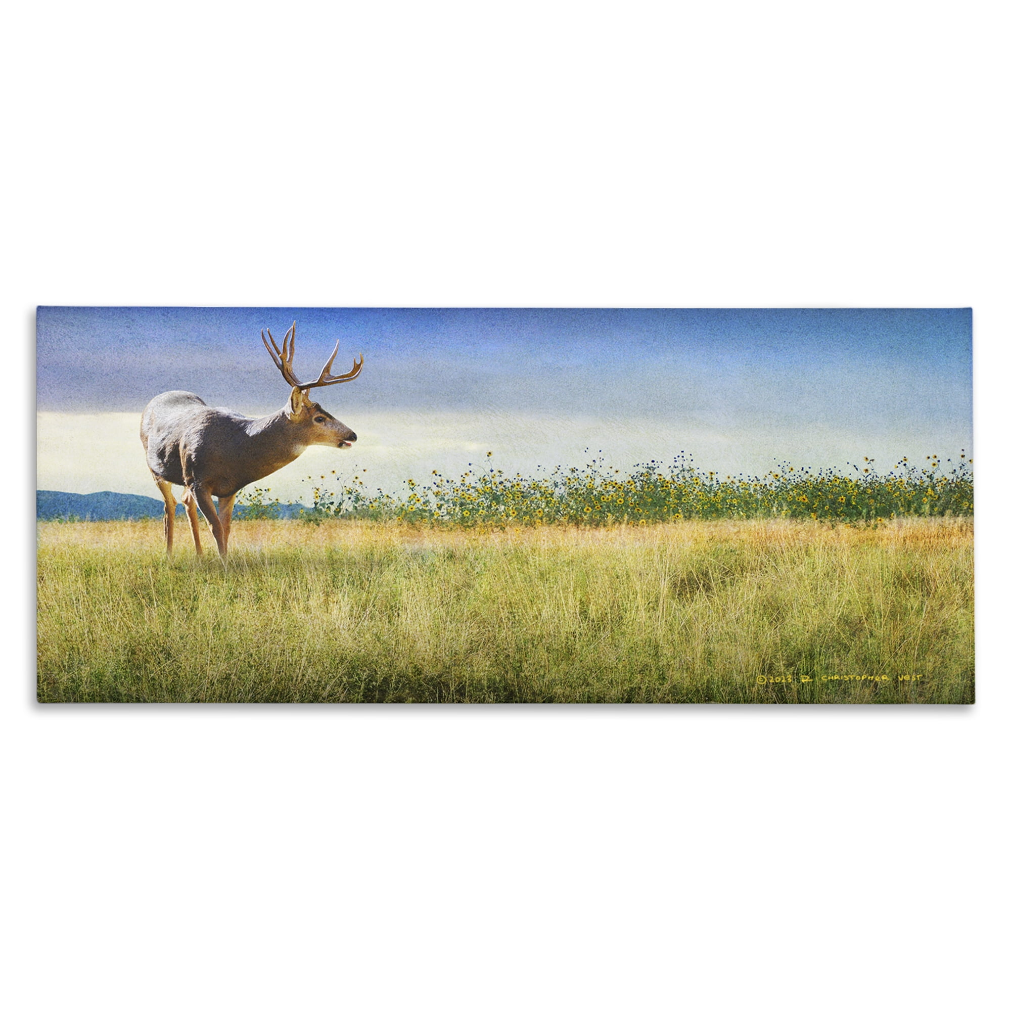 Stupell Industries Buck Deer in Field Landscape & Nature Photography Wrapped Canvas Art Print Wall Art, 30 x 13