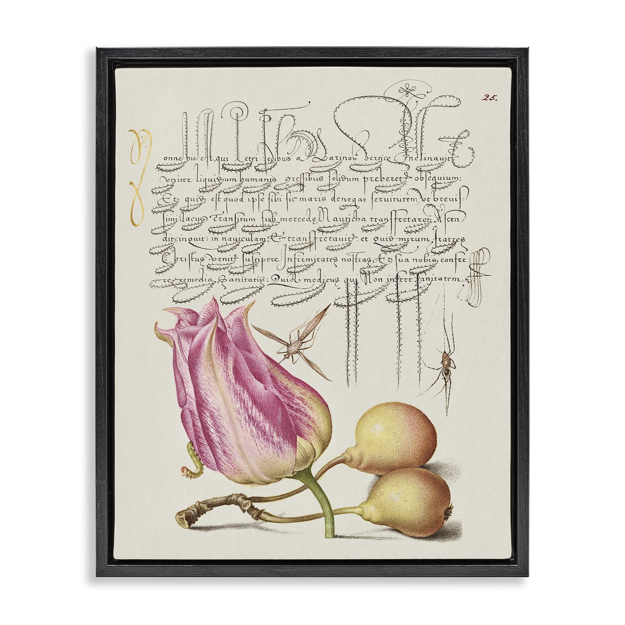 Stupell Industries Budding Lily Vintage Page Text & Numbers Painting Black Floater Framed Canvas Art Print Wall Art, 17 x 21