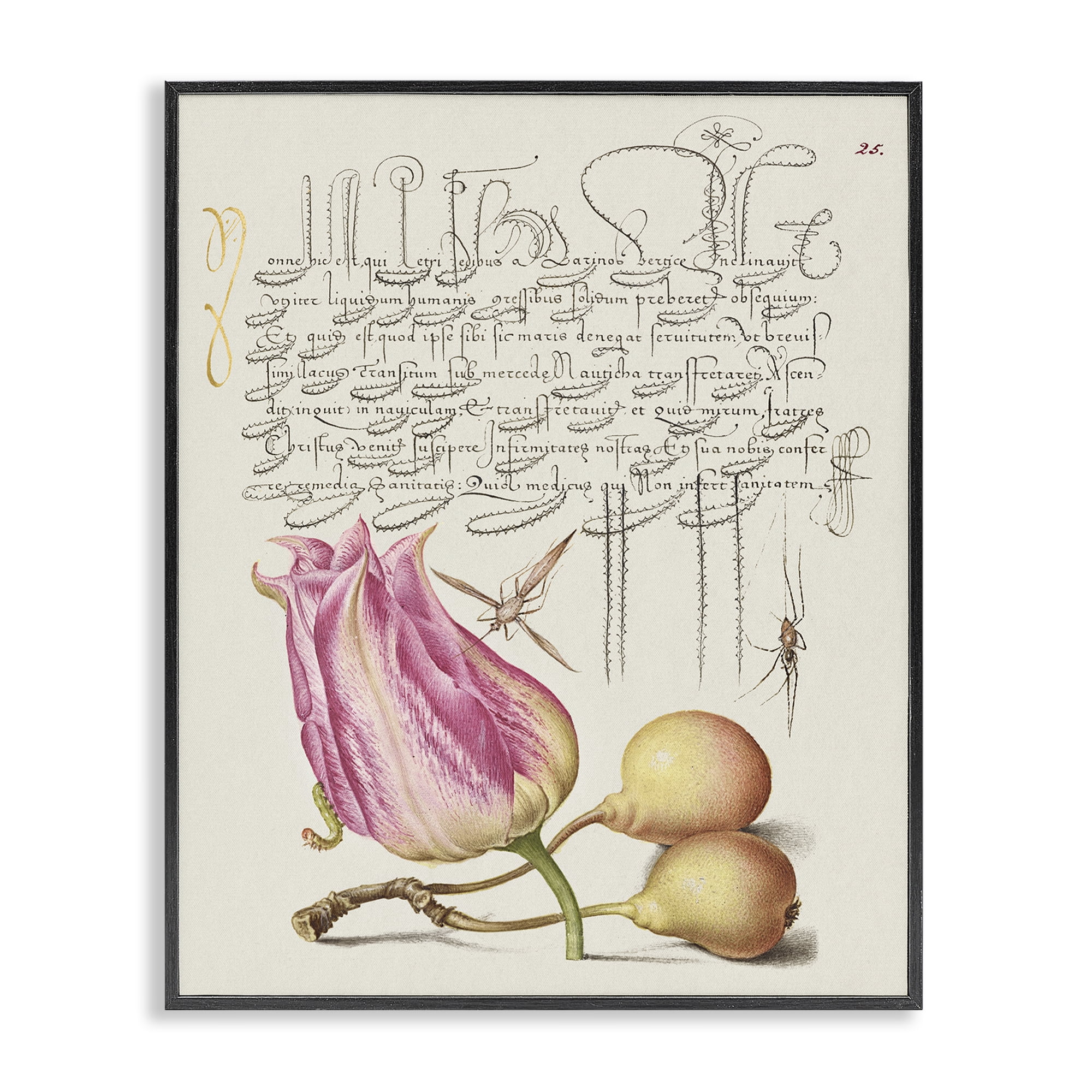 Stupell Industries Budding Lily Vintage Page Text & Numbers Painting Black Framed Art Print Wall Art, 24 x 30
