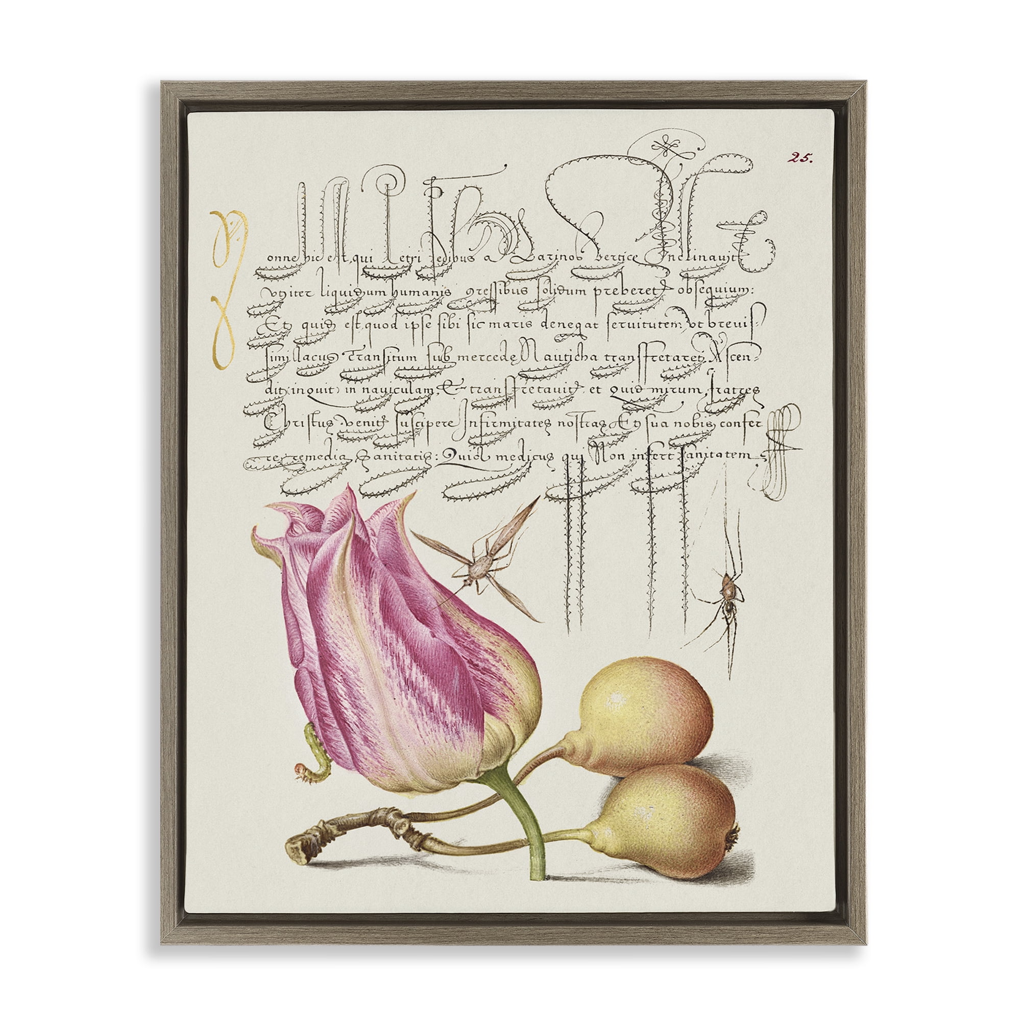 Stupell Industries Budding Lily Vintage Page Text & Numbers Painting Brown Floater Framed Canvas Art Print Wall Art, 17 x 21