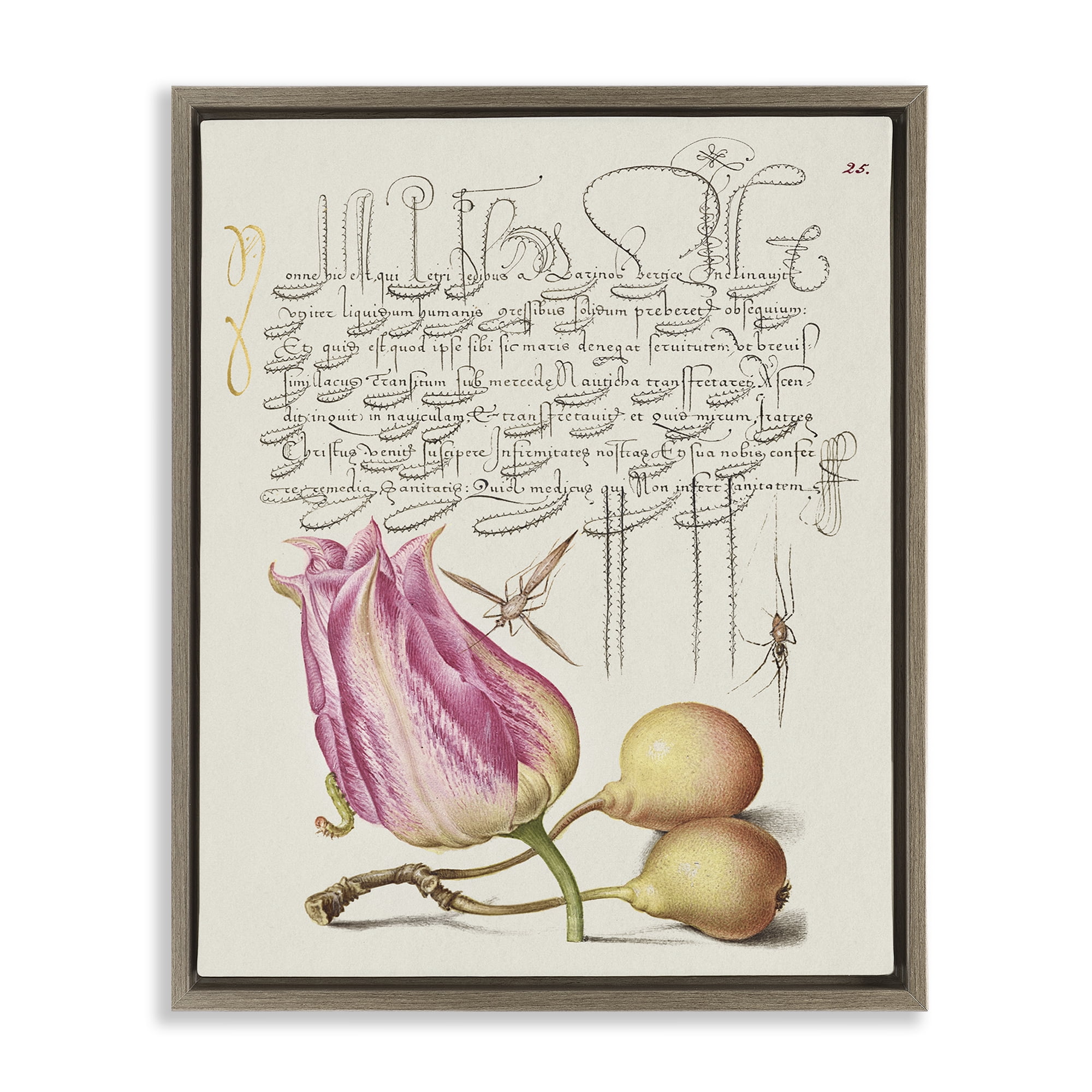 Stupell Industries Budding Lily Vintage Page Text & Numbers Painting Brown Floater Framed Canvas Art Print Wall Art, 25 x 31