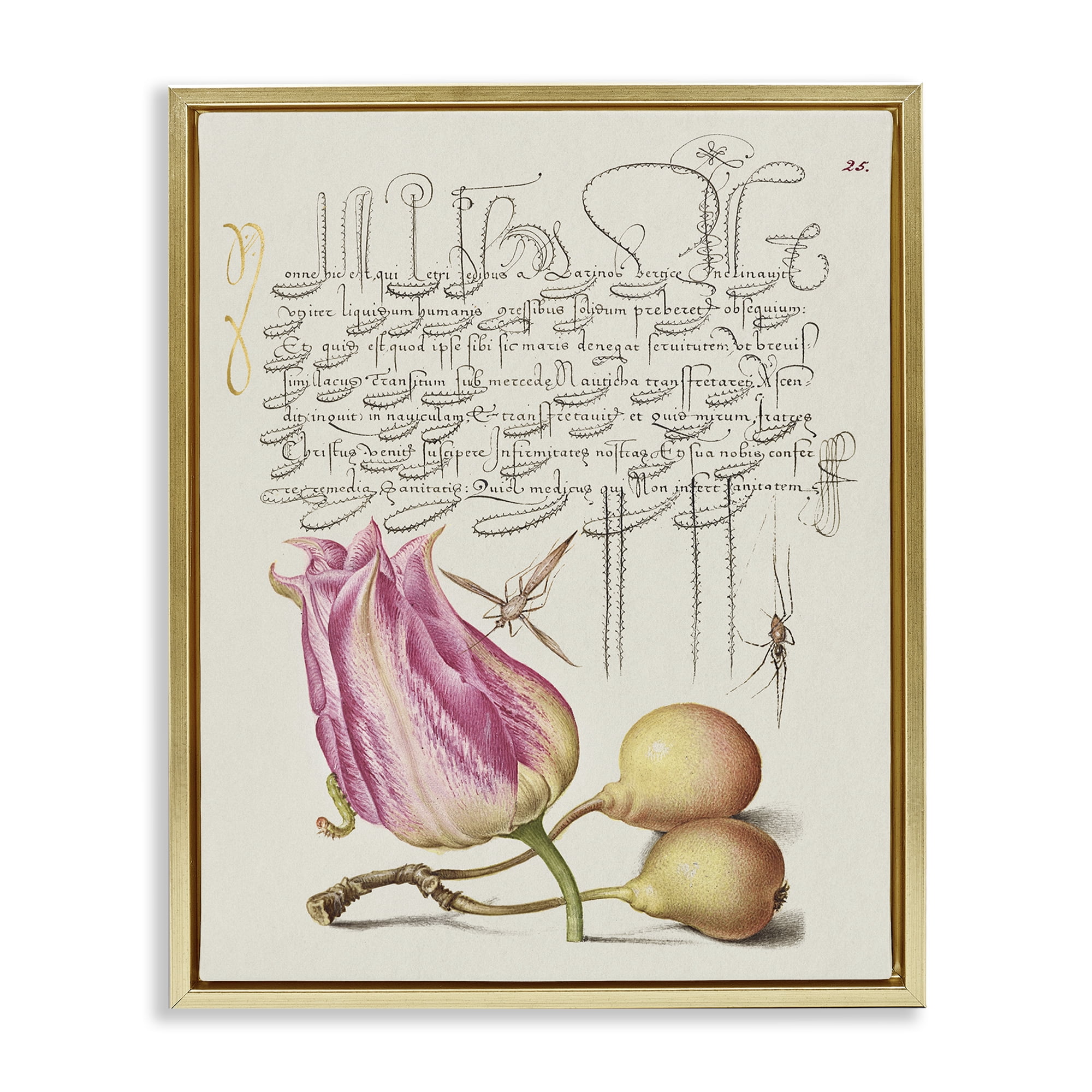 Stupell Industries Budding Lily Vintage Page Text & Numbers Painting Gold Floater Framed Canvas Art Print Wall Art, 25 x 31