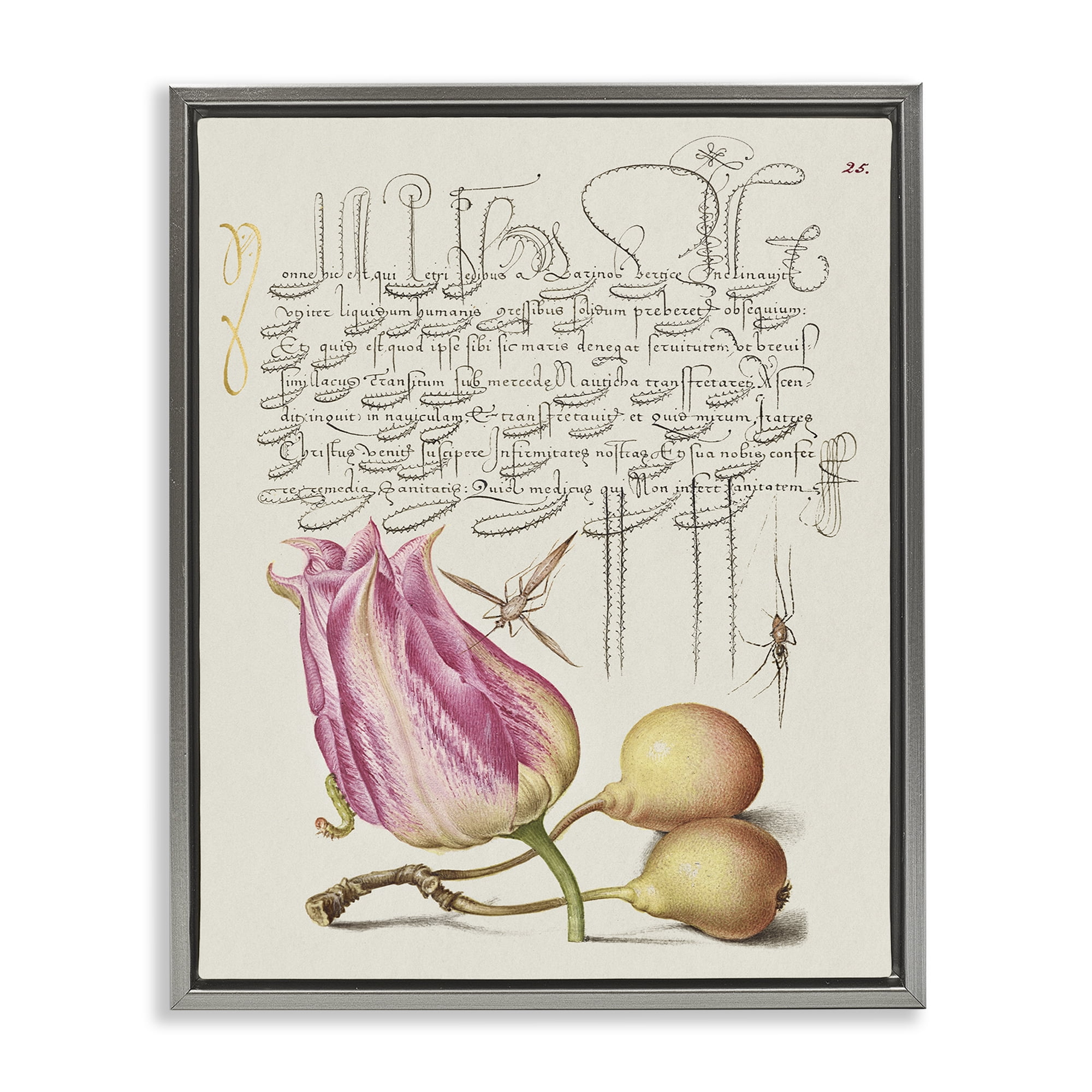 Stupell Industries Budding Lily Vintage Page Text & Numbers Painting Gray Floater Framed Canvas Art Print Wall Art, 25 x 31