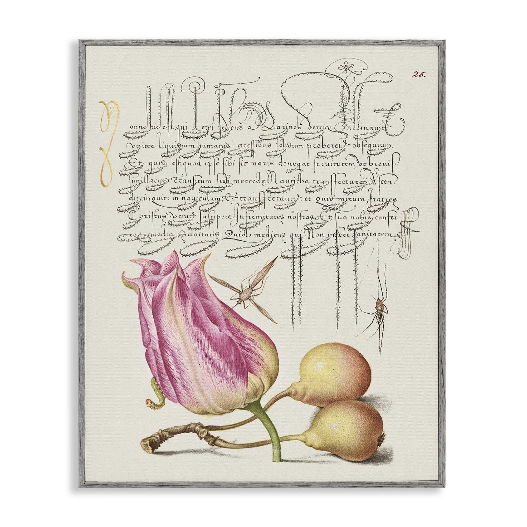 Stupell Industries Budding Lily Vintage Page Text & Numbers Painting Gray Framed Art Print Wall Art, 11 x 14