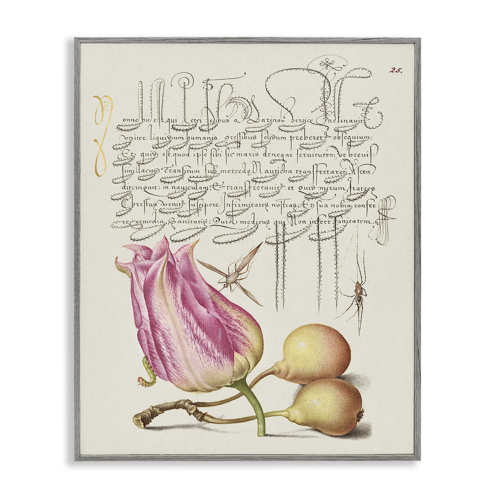 Stupell Industries Budding Lily Vintage Page Text & Numbers Painting Gray Framed Art Print Wall Art, 16 x 20