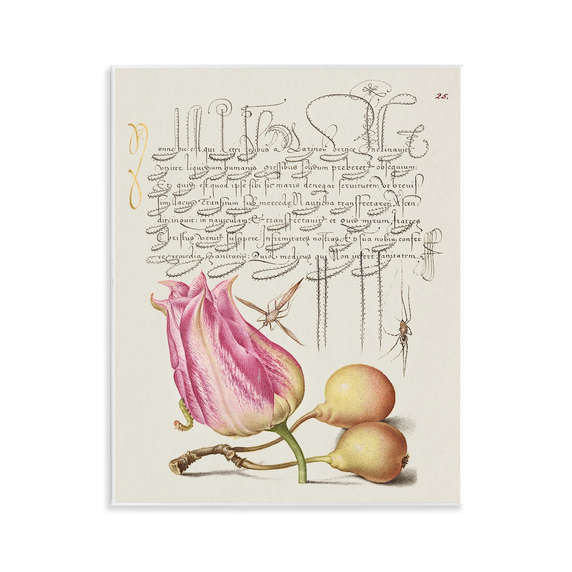 Stupell Industries Budding Lily Vintage Page Text & Numbers Painting Unframed Art Print Wall Art, 11 x 14
