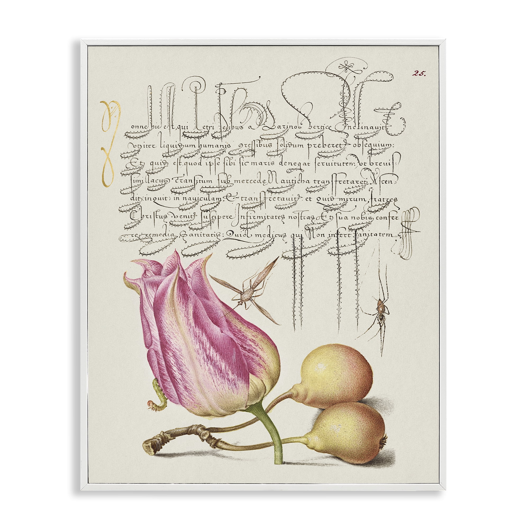 Stupell Industries Budding Lily Vintage Page Text & Numbers Painting White Framed Art Print Wall Art, 11 x 14