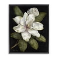 thumbnail image 1 of Stupell Industries Traditional Budding Magnolia Blooms Black Floating Frame Canvas Art, 25 x 31, by Nan, 1 of 8