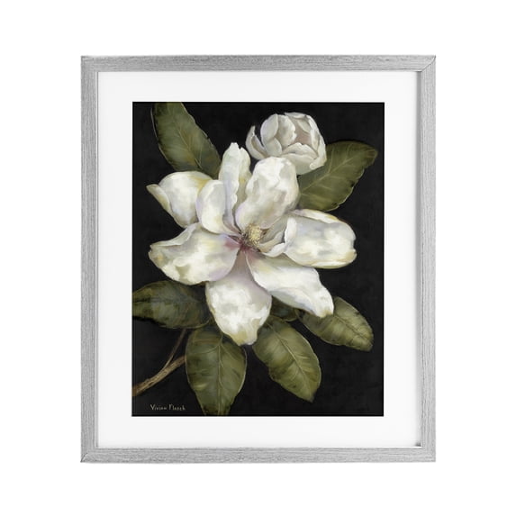 Stupell Industries Traditional Budding Magnolia Blooms Gray Framed Print Under Glass, 13 x 16, by Nan