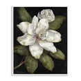thumbnail image 1 of Stupell Industries Traditional Budding Magnolia Blooms White Framed Giclee Art, 11 x 14, by Nan, 1 of 8