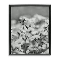 Stupell Industries Budding Meadow Flora Botanical & Floral Photography Black Floater Framed Art Print Wall Art, 17 x 21