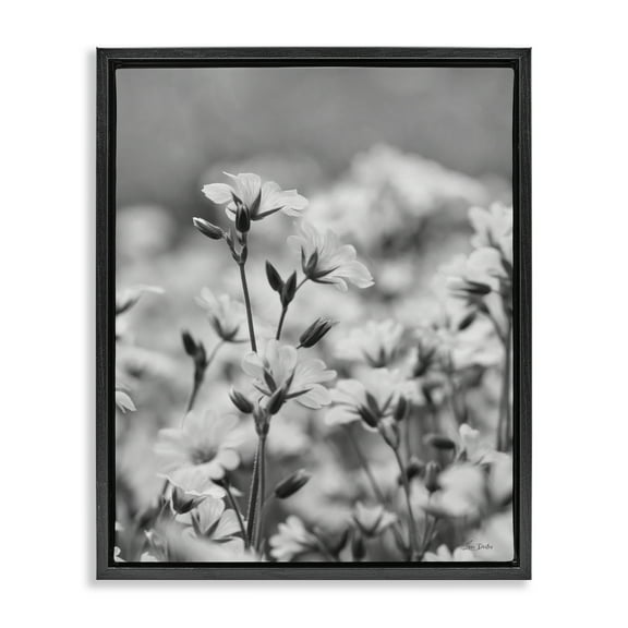 Stupell Industries Budding Meadow Flora Botanical & Floral Photography Black Floater Framed Art Print Wall Art, 17 x 21