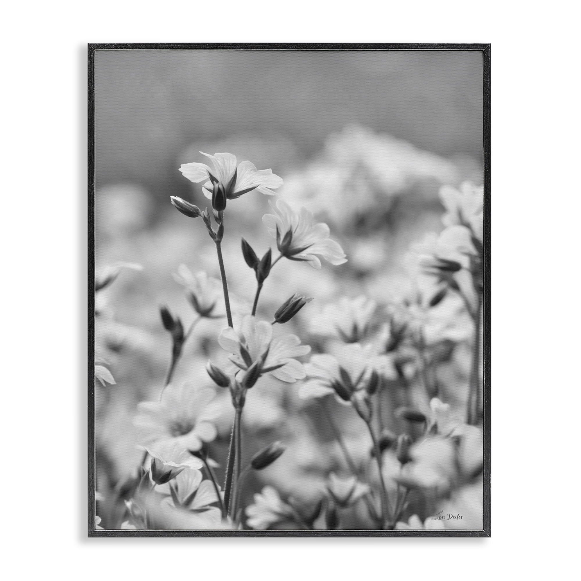 Stupell Industries Budding Meadow Flora Botanical & Floral Photography Black Framed Art Print Wall Art, 16 x 20
