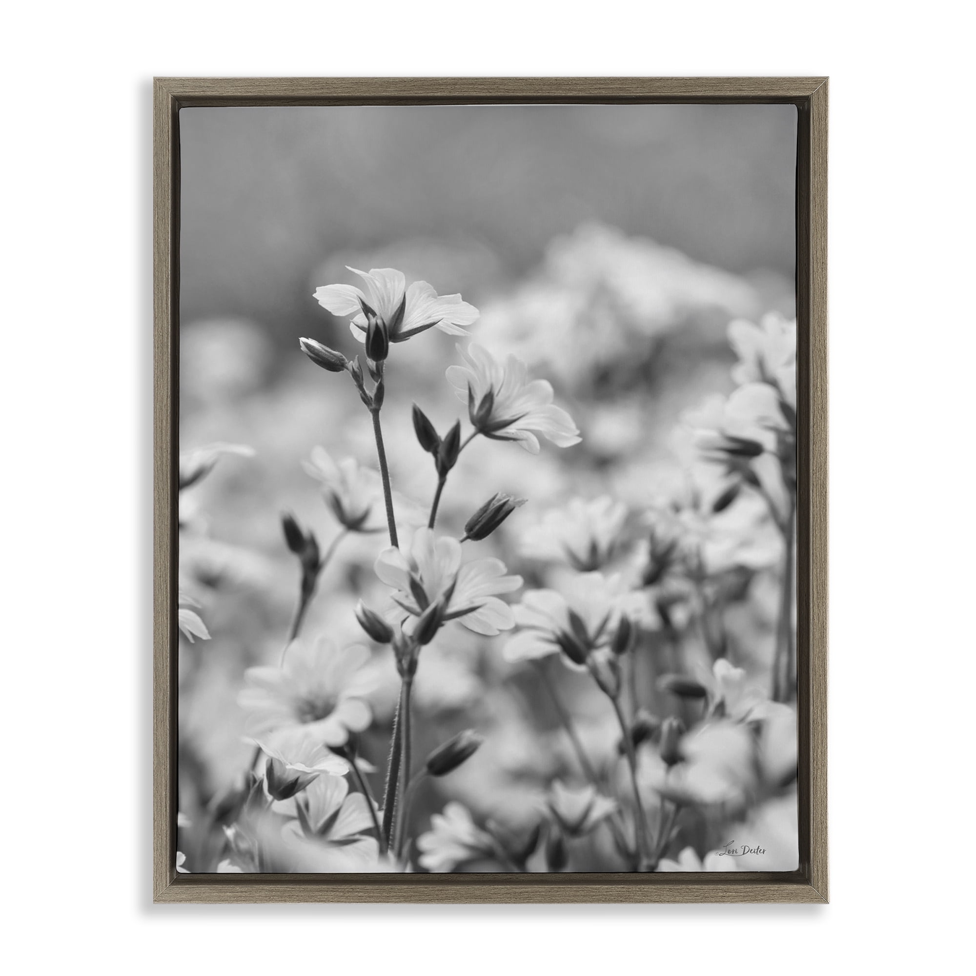 Stupell Industries Budding Meadow Flora Botanical & Floral Photography Brown Floater Framed Art Print Wall Art, 25 x 31