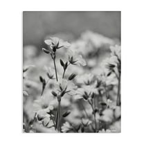 Stupell Industries Budding Meadow Flora Botanical & Floral Photography Gallery Wrapped Canvas Art Print Wall Art, 16 x 20