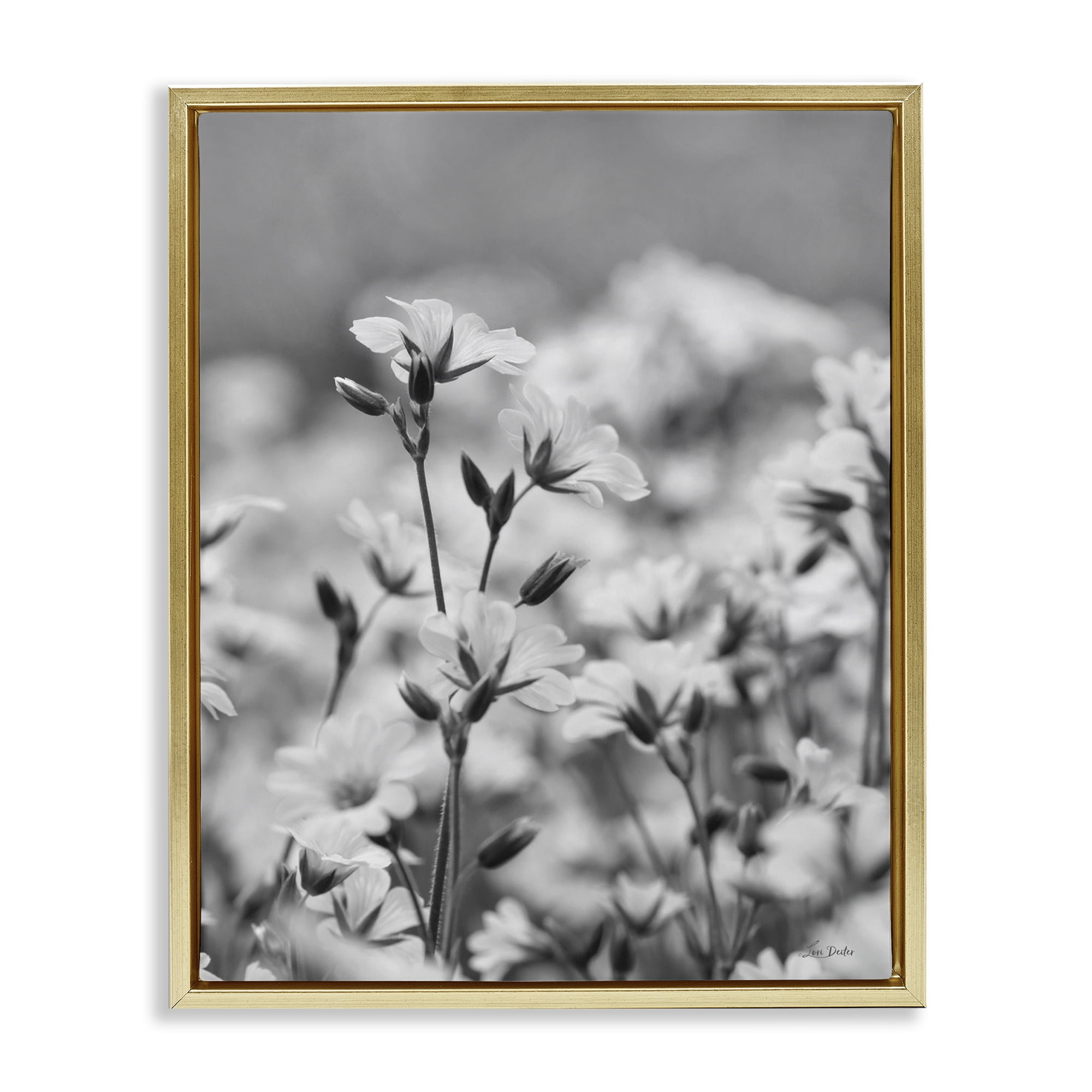 Stupell Industries Budding Meadow Flora Botanical & Floral Photography Gold Floater Framed Art Print Wall Art, 17 x 21