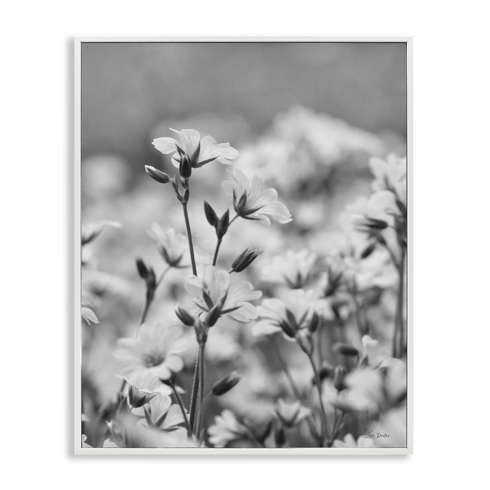 Stupell Industries Budding Meadow Flora Botanical & Floral Photography White Framed Art Print Wall Art, 11 x 14