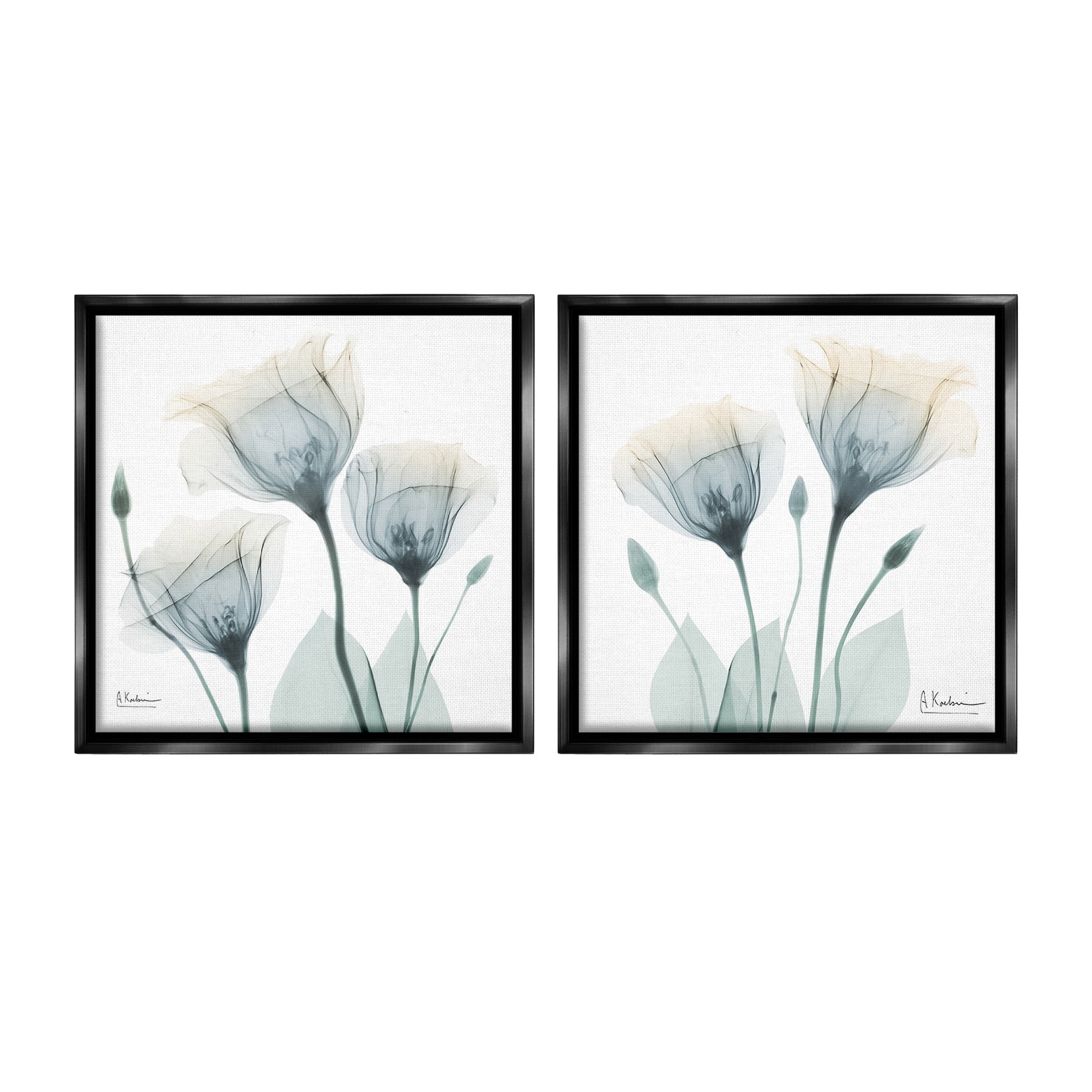 Stupell Industries Budding Opaque Tulips Botanical & Floral Photography Black Floater Framed Canvas Art Print Wall Art, 18 x 18, Set of 2