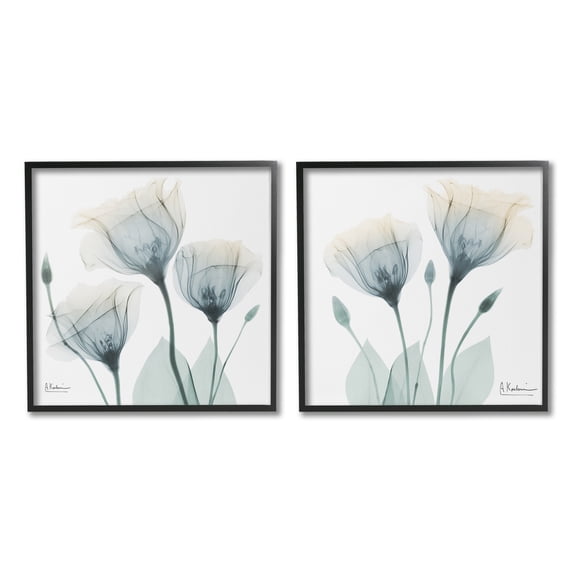 Stupell Industries Budding Opaque Tulips Botanical & Floral Photography Black Framed Art Print Wall Art, 12 x 12, Set of 2