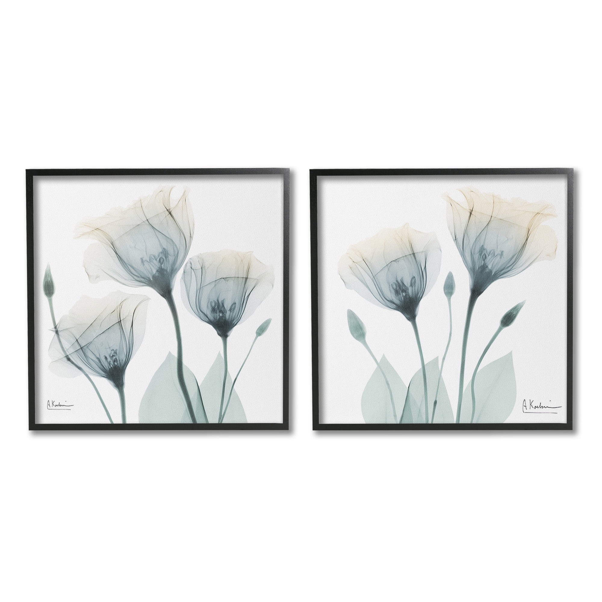Stupell Industries Budding Opaque Tulips Botanical & Floral Photography Black Framed Art Print Wall Art, 17 x 17, Set of 2