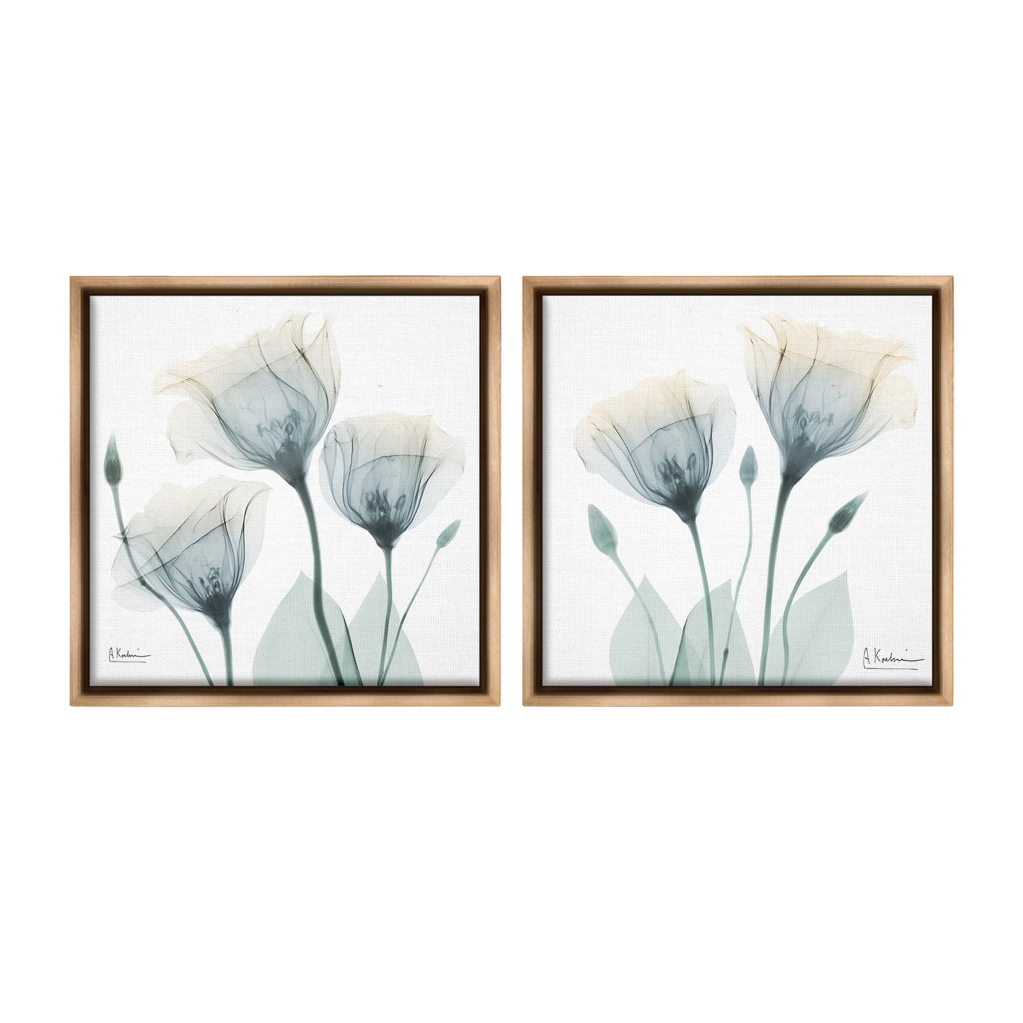 Stupell Industries Budding Opaque Tulips Botanical & Floral Photography Brown Floater Framed Canvas Art Print Wall Art, 18 x 18, Set of 2