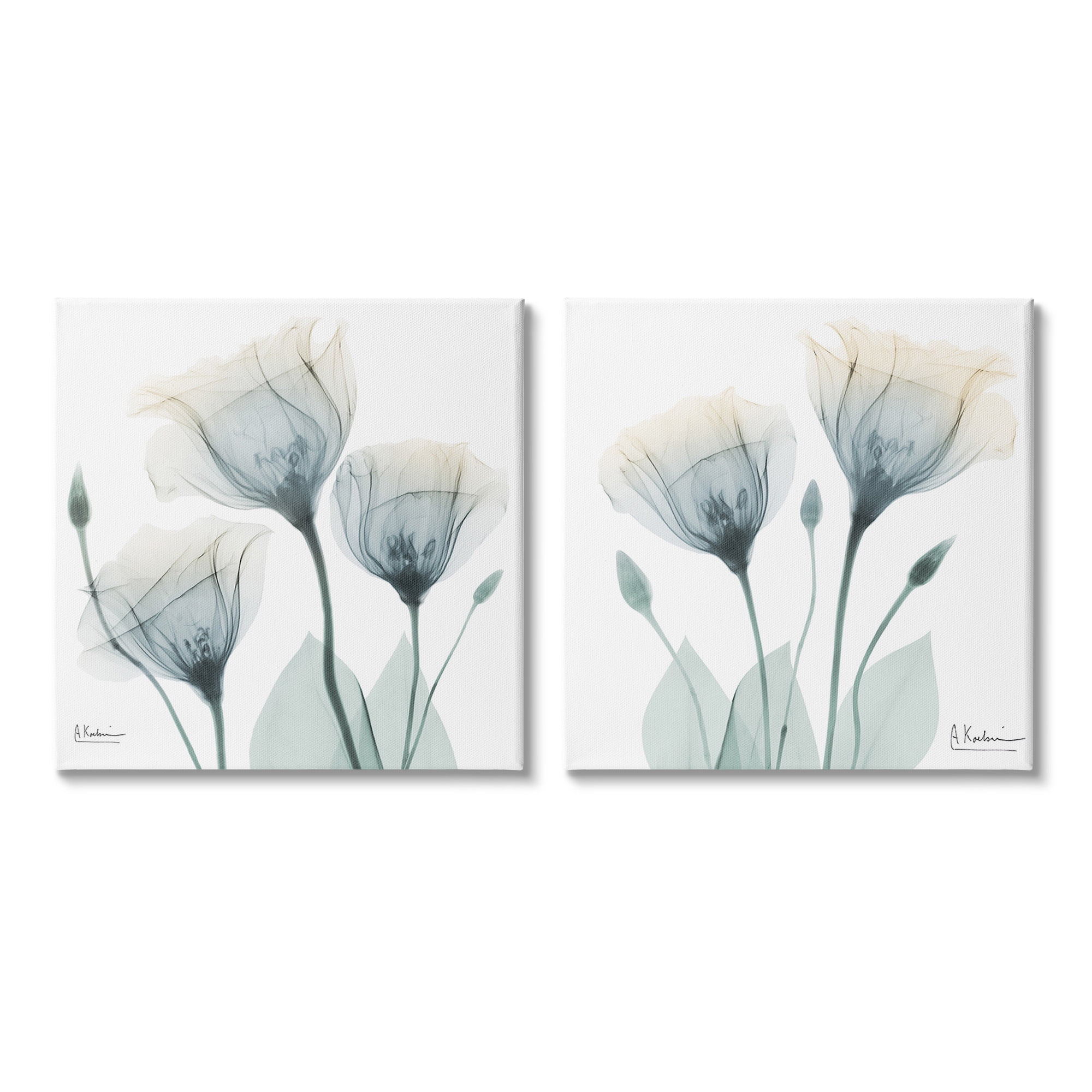 Stupell Industries Budding Opaque Tulips Botanical & Floral Photography Gallery Wrapped Canvas Art Print Wall Art, 17 x 17, Set of 2