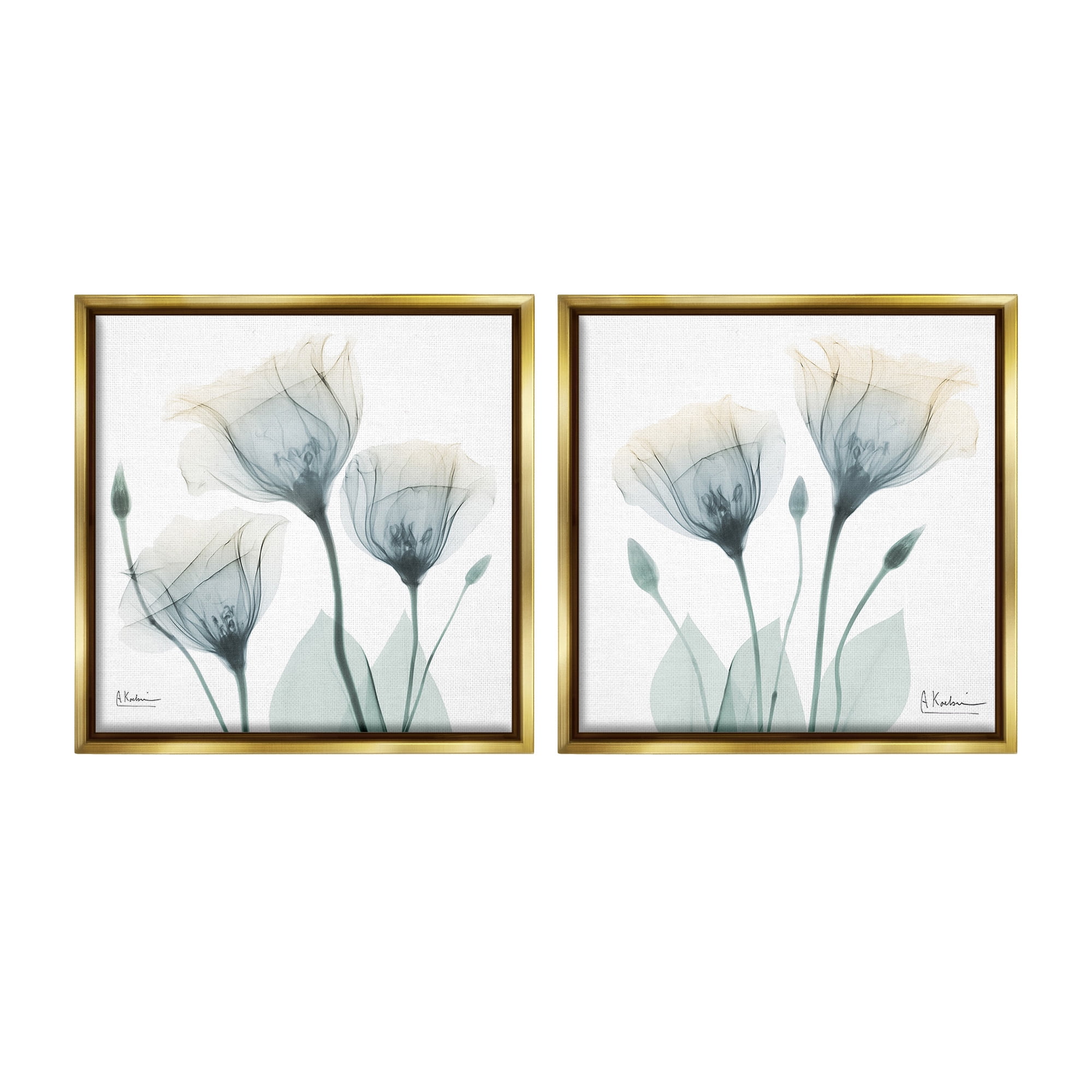 Stupell Industries Budding Opaque Tulips Botanical & Floral Photography Gold Floater Framed Canvas Art Print Wall Art, 18 x 18, Set of 2