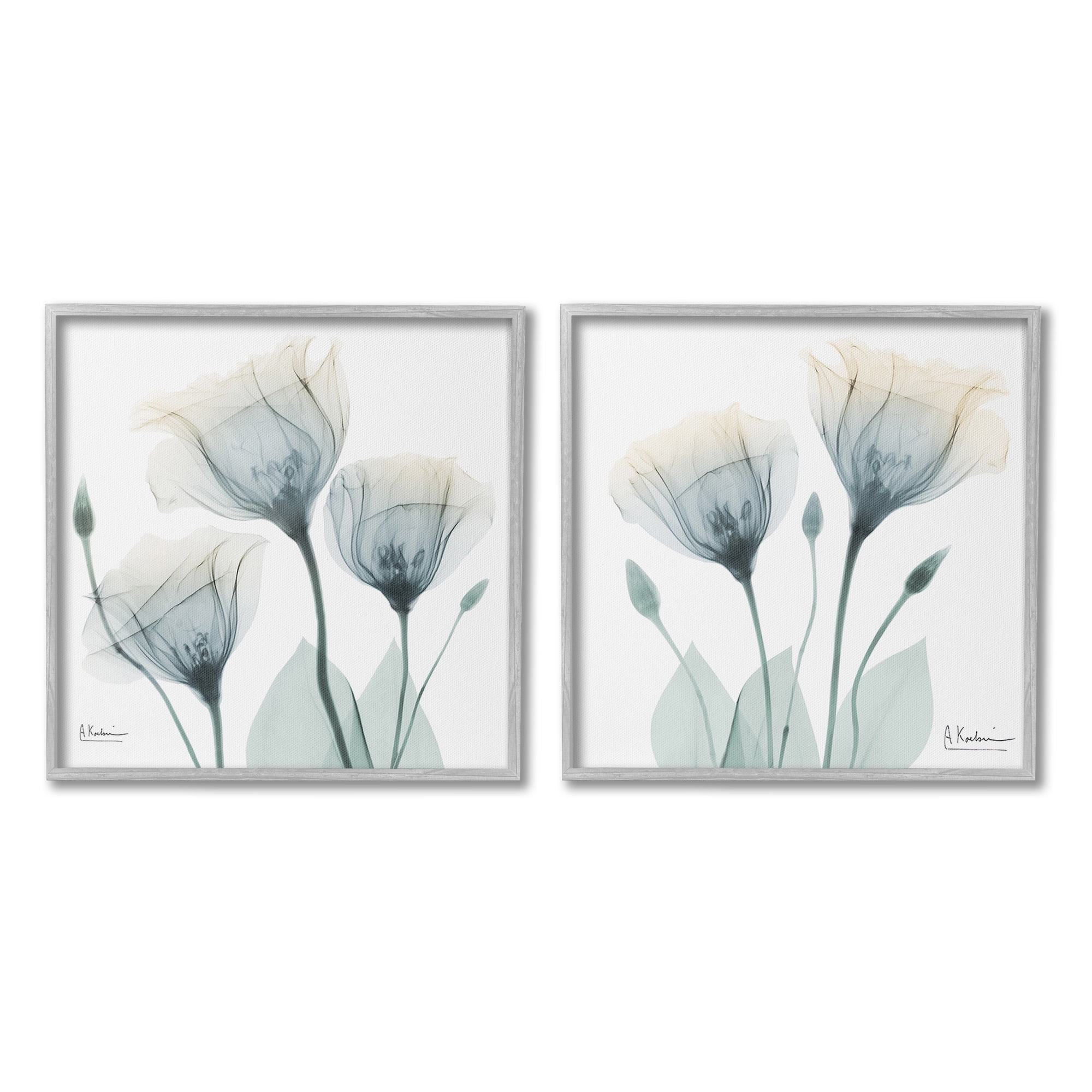 Stupell Industries Budding Opaque Tulips Botanical & Floral Photography Gray Framed Art Print Wall Art, 24 x 24, Set of 2