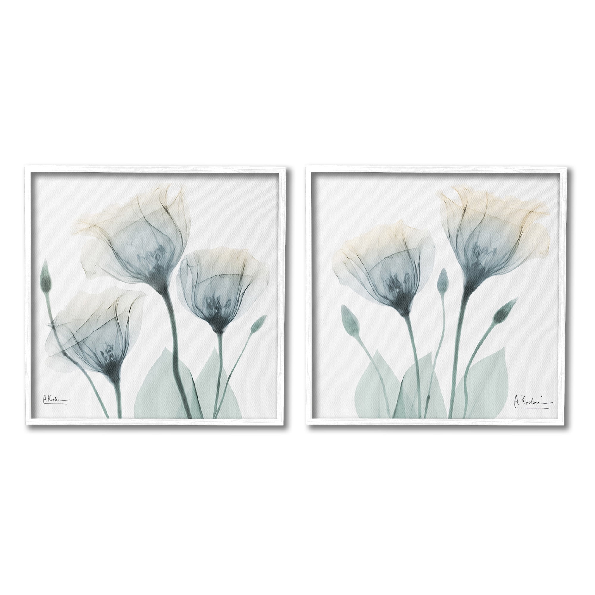 Stupell Industries Budding Opaque Tulips Botanical & Floral Photography White Framed Art Print Wall Art, 17 x 17, Set of 2