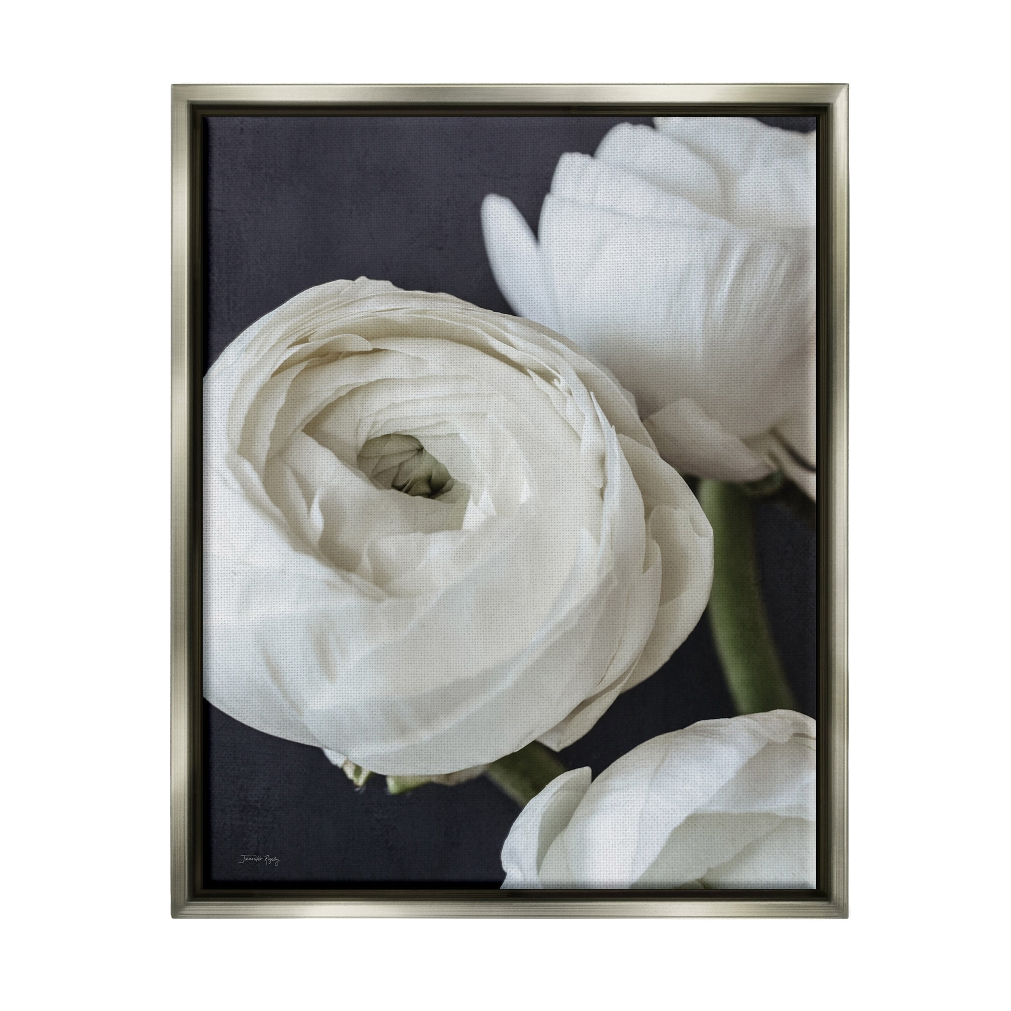 Stupell Industries Budding Ranunculus Flower Blooming Close Up Petals Photograph Luster Gray Floating Framed Canvas Print Wall Art, Design by Jennifer Rigsby