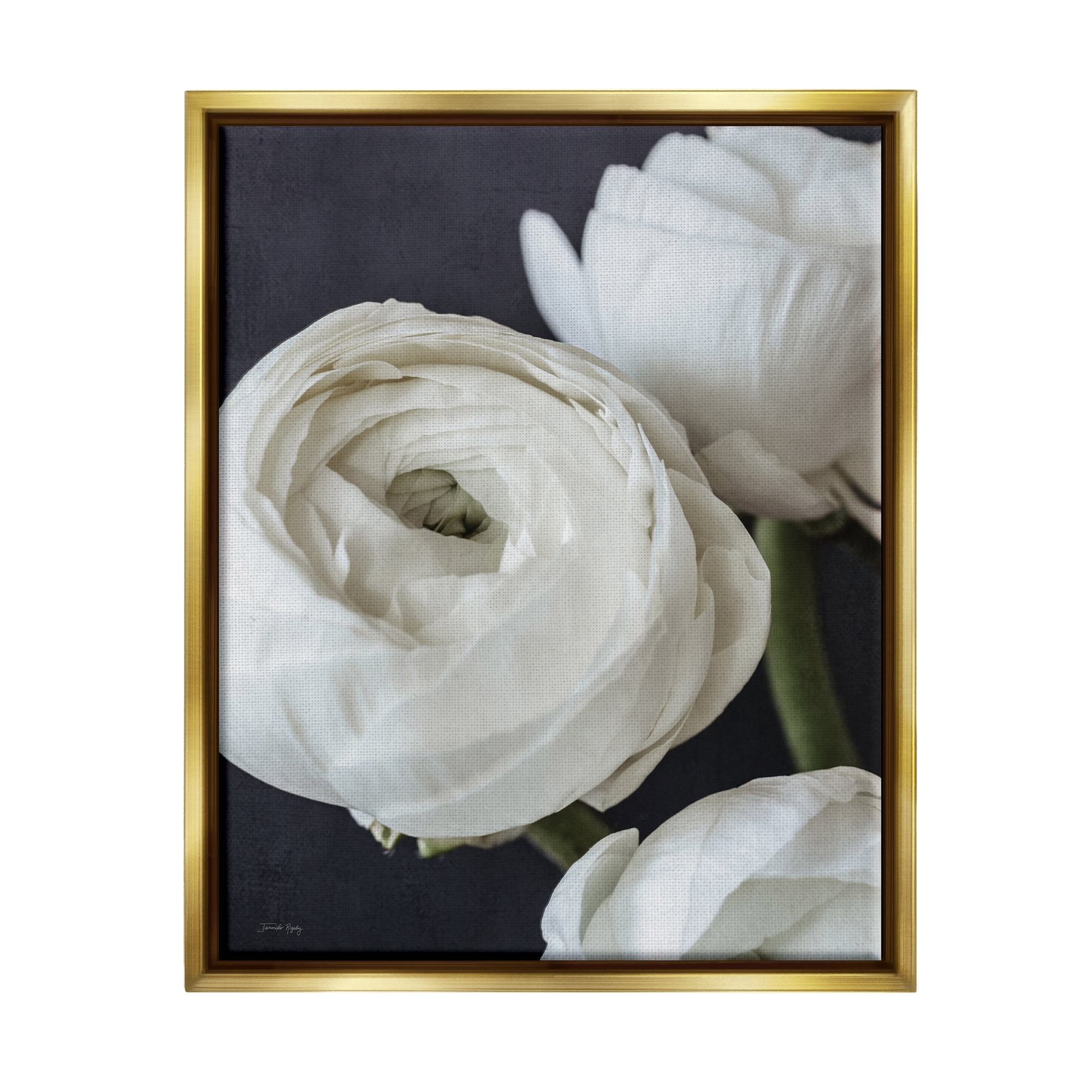 Stupell Industries Budding Ranunculus Flower Blooming Close Up Petals Photograph Metallic Gold Floating Framed Canvas Print Wall Art, Design by Jennifer Rigsby