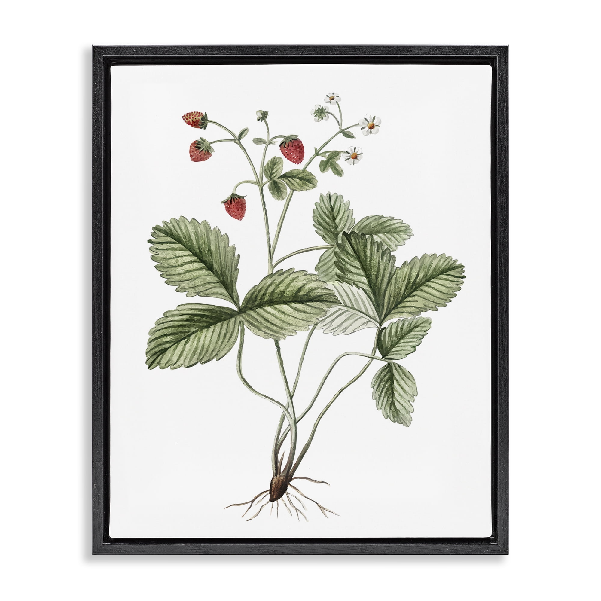 Stupell Industries Budding Strawberries Study Food & Beverage Painting Black Floater Framed Art Print Wall Art, 17 x 21