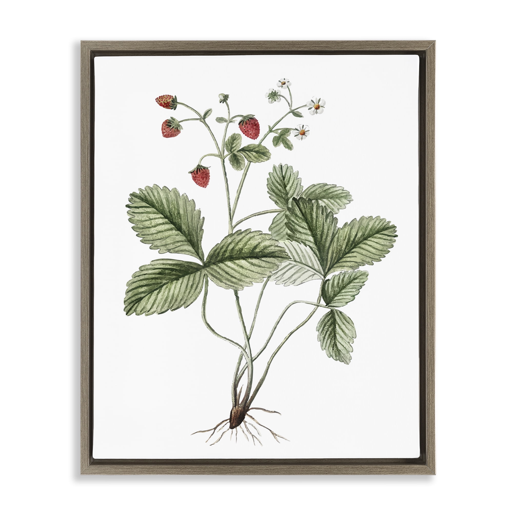 Stupell Industries Budding Strawberries Study Food & Beverage Painting Brown Floater Framed Art Print Wall Art, 17 x 21