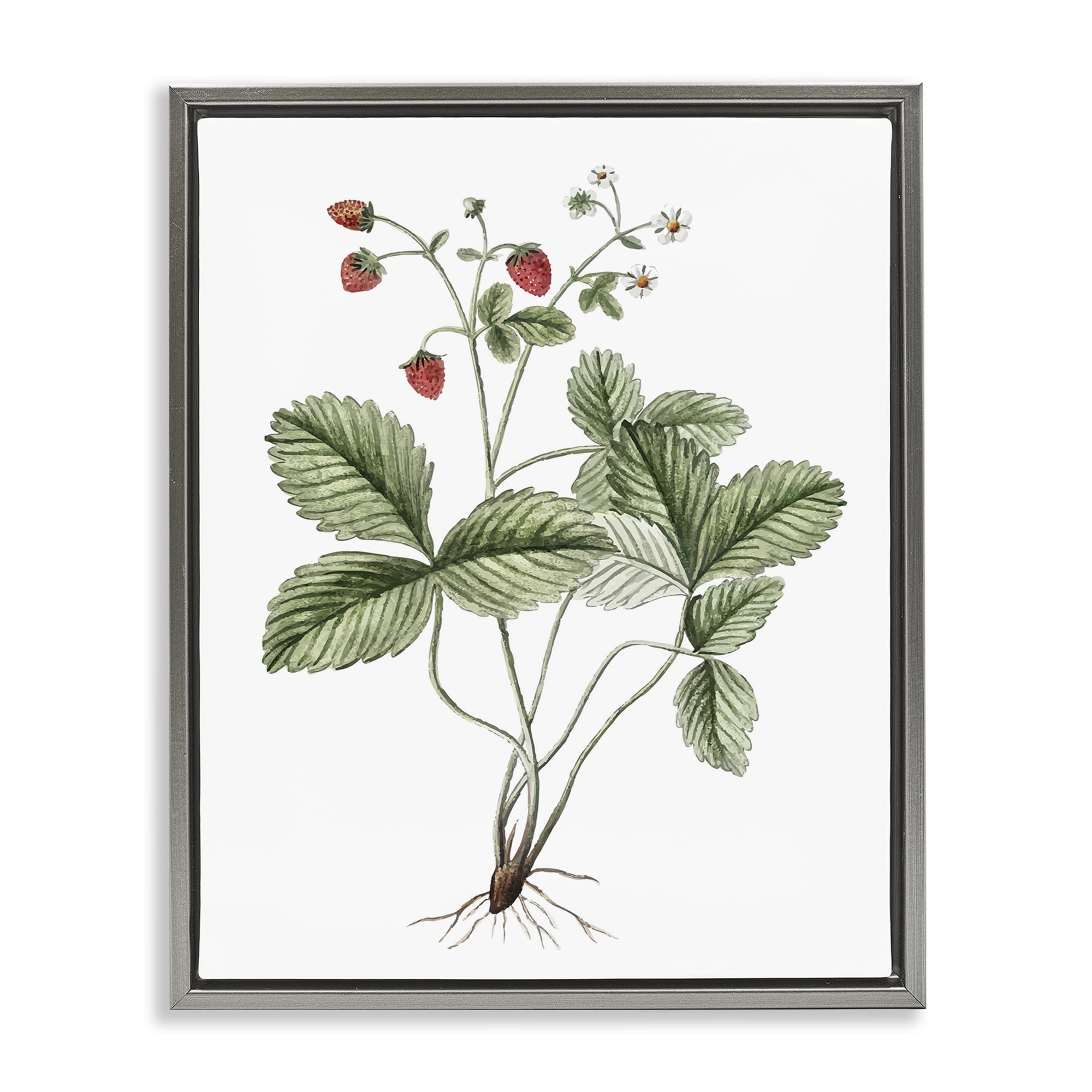 Stupell Industries Budding Strawberries Study Food & Beverage Painting Gray Floater Framed Art Print Wall Art, 17 x 21